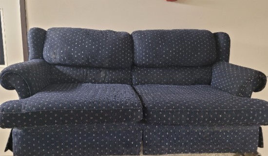 Picture of Blue Motif Couch