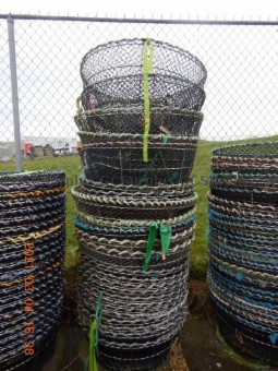 Picture of 25 Commercial Prawn Traps