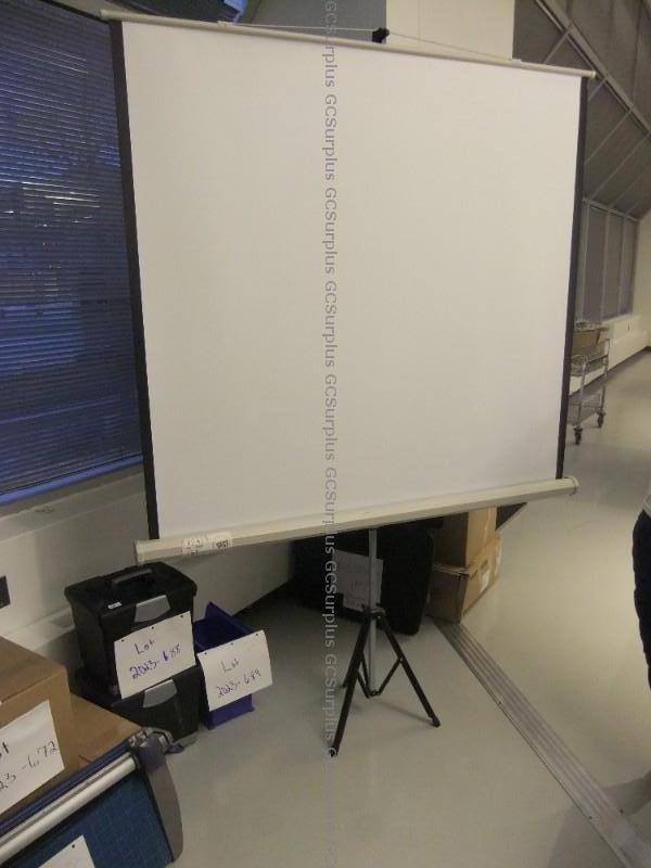 Picture of Portable Projection Screen
