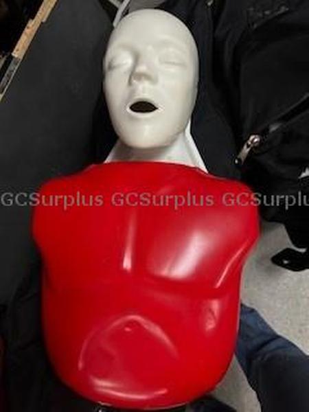 Photo de Lot de mannequins RCR adultes 