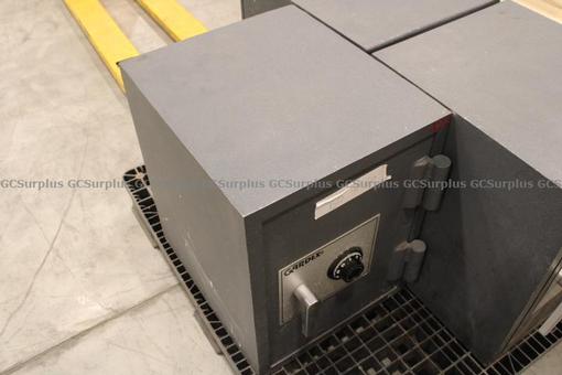 Picture of Gardex Safe #2