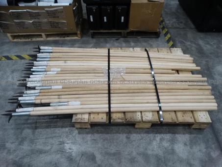 Picture of 22 Pike Poles