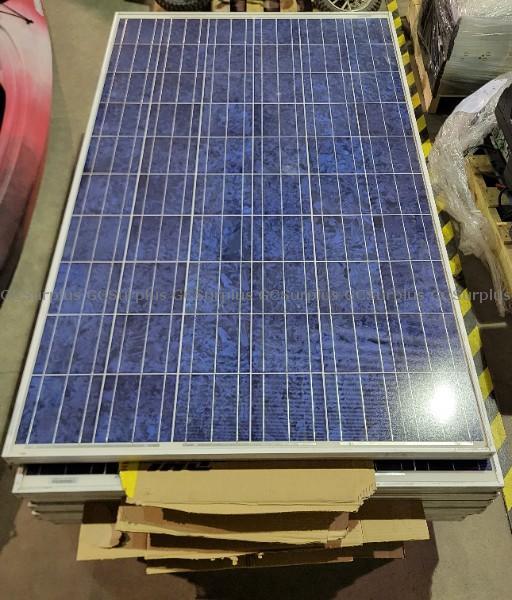 Picture of Canadian Solar CS6P-230P Solar